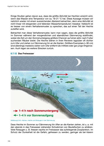 Modernes Fische Finden – Der Hecht - 7