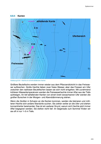 Modernes Fische Finden – Der Hecht - 8