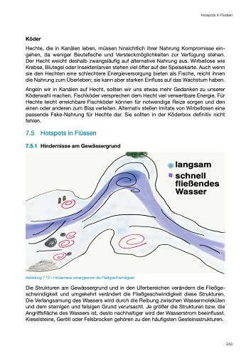 Modernes Fische Finden – Der Hecht - 9