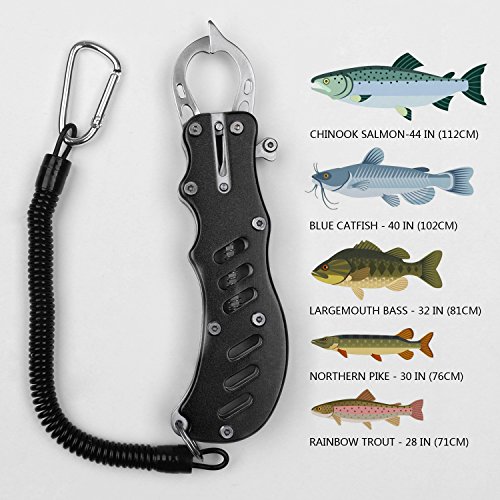 Fisch Lip Greifer Grabber Fischen Stringer Set aus hochwertigem Edelstahl tragbare Angeln Werkzeug Set für Süß-Salzwasser Forelle Bass lachs Fisch - 3