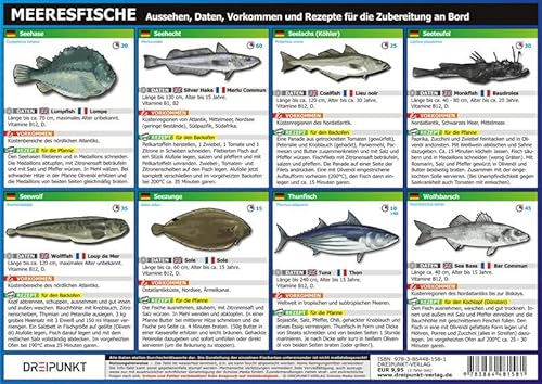 Info-Tafel-Set Meeresfische: Aussehen, Daten… - 5