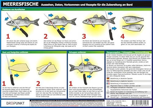 Info-Tafel-Set Meeresfische: Aussehen, Daten… - 4